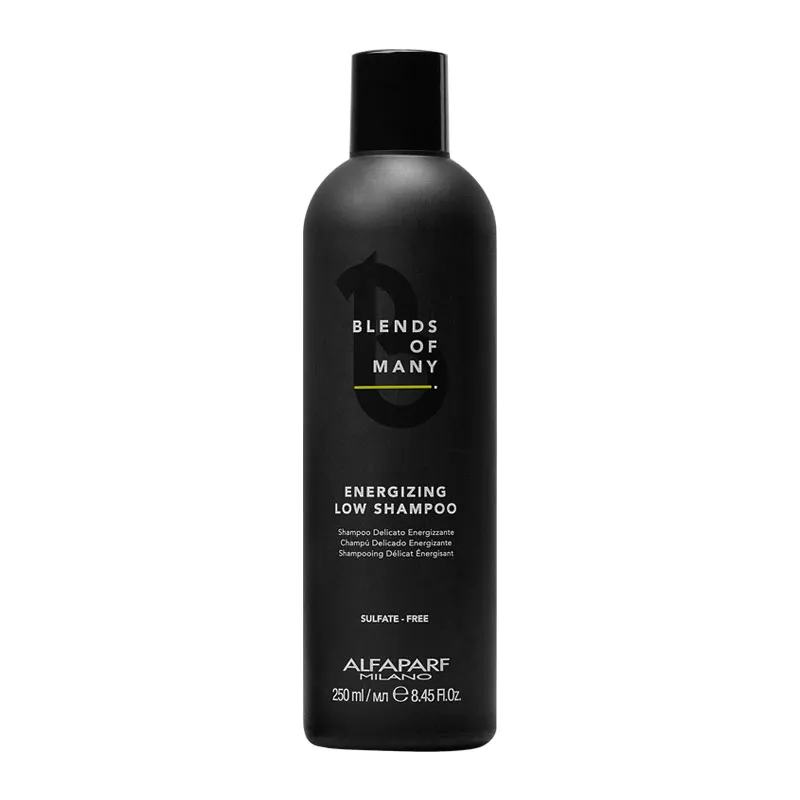 ALFAPARF Blends Of Many Erkekler İçin Dökülme Önleyici Enerji Şampuanı.webp