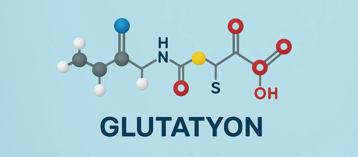Glutatyon Nedir? İşlevleri, Faydaları ve Doğal Yollarla Desteklemenin Sırları