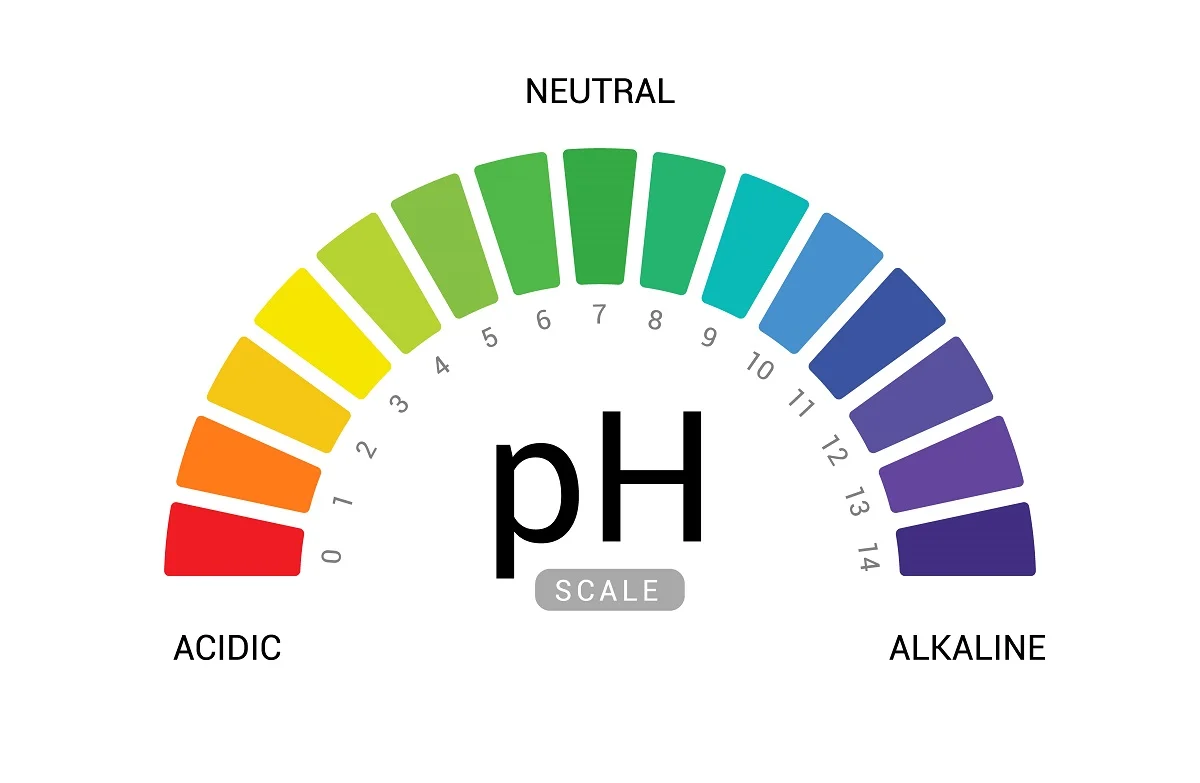 Cilt Bakımında pH Dengesi Asit mi Alkali mi Doğru Seviye Neden Önemli.webp